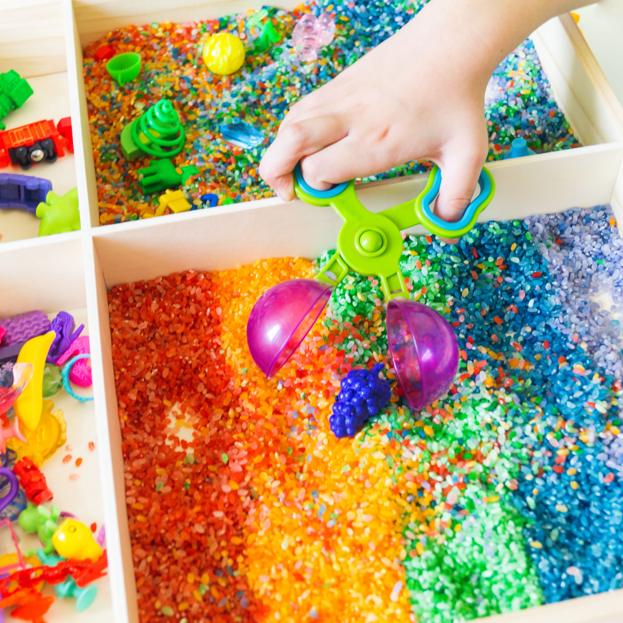 Sensory Toys