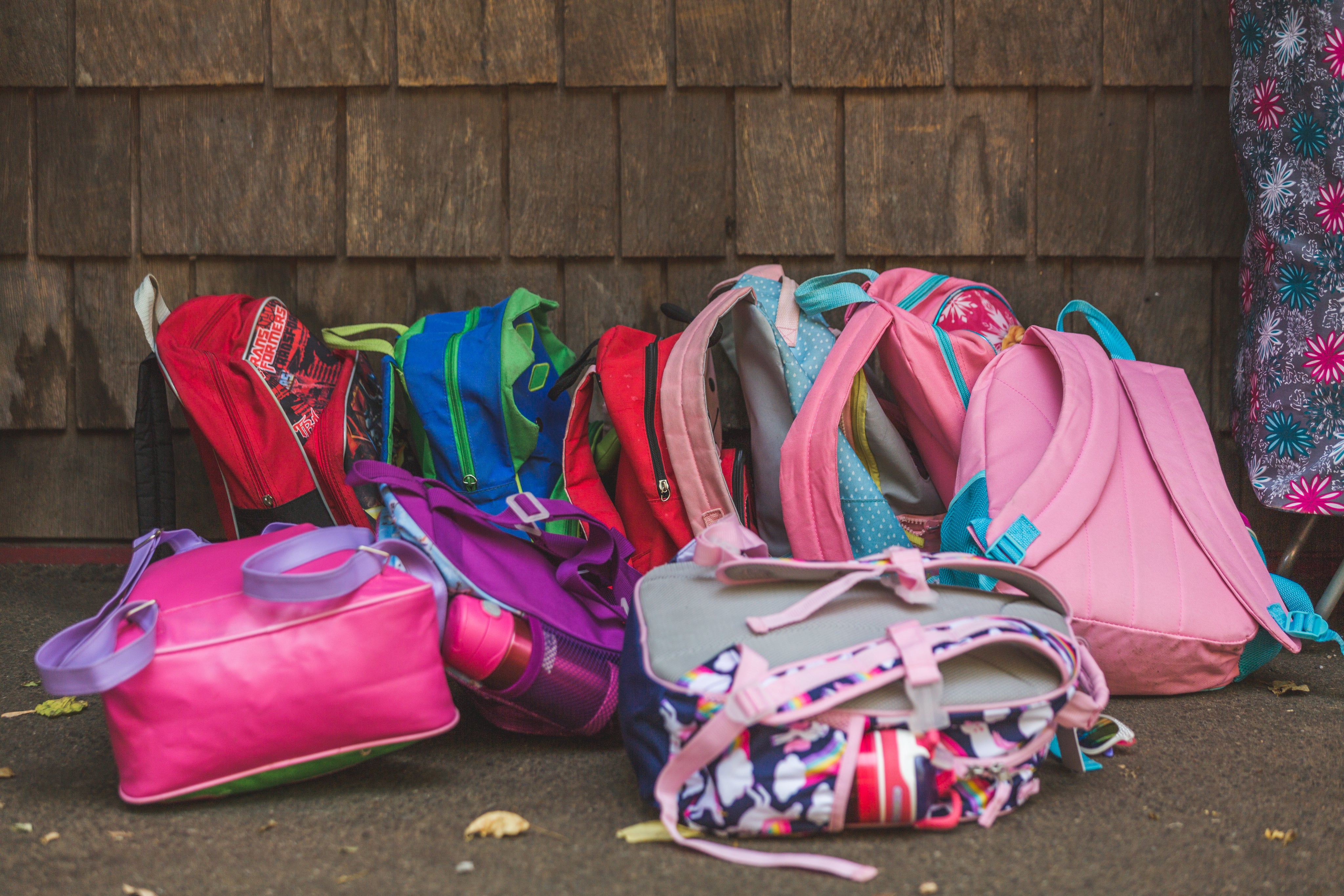 Enrol your neurodiverse child at Mīharo Ora after-school care and holiday programme Motueka — autism resources NZ